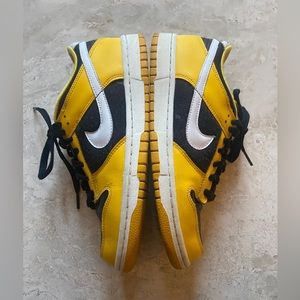 2006 vintage Nike dunk low GS